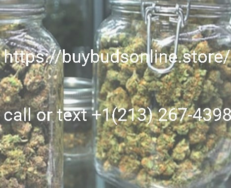 high-grade-medical-cannabis-213267-4398-big-0
