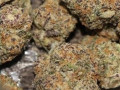 top-shelf-grade-aa-strains-available-small-1