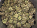 consistent-supply-of-exotic-strains-and-carts-small-1