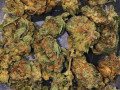 we-have-top-quality-medicinal-marijuana-all-strains-available-small-0