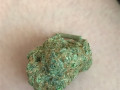 buy-thc-weed-and-drugspills-text-1720-me-383-now-7352-small-1