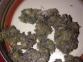 highest-quality-all-natural-medical-strains-available-text-1720-me-383-now-7352-small-4