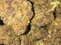 highest-quality-all-natural-medical-strains-available-text-1720-me-383-now-7352-small-6