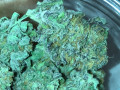 highest-quality-all-natural-medical-strains-available-text-1720-me-383-now-7352-small-5