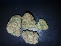 highest-quality-all-natural-medical-strains-available-text-1720-me-383-now-7352-small-9