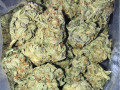highest-quality-all-natural-medical-strains-available-text-1720-me-383-now-7352-small-2