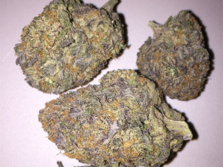 Highest quality, all-natural medical Strains available text +1720 me 383 now 7352