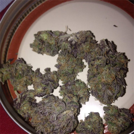 highest-quality-all-natural-medical-strains-available-text-1720-me-383-now-7352-big-4
