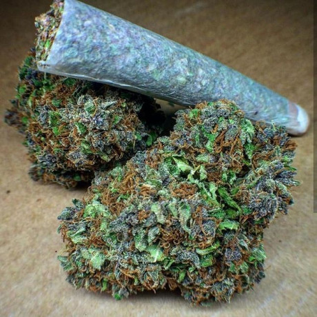 cannabis-strains-for-sale-now-big-0