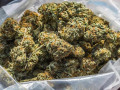 top-quality-marijuana-buds-and-cannabis-oil-small-0
