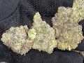 available-top-shelf-buds-grade-aa-small-2