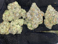 available-top-shelf-buds-grade-aa-small-3