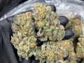 available-top-shelf-buds-grade-aa-small-0