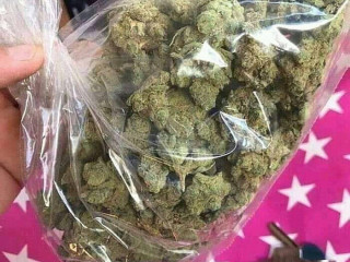 Top Notch Weed Available Grade AAA+