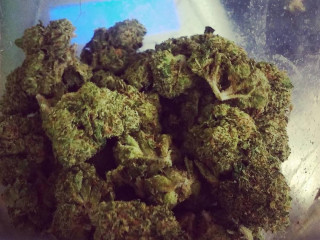 HIGH ~~~~~~~ GRADE ~~~A BUDS AVAILABLE CONTACT ME FOR MORE DETAILS