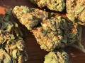 top-quality-marijuana-marijuana-strains-real-loud-small-0