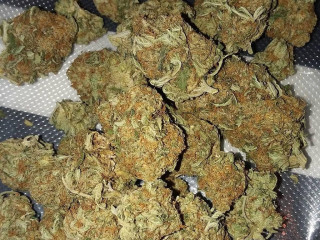 Top Notch Weed Available Grade AA+