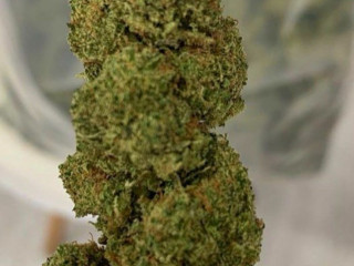 Top Notch Weed Available Grade AA+