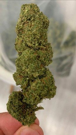 top-notch-weed-available-grade-aa-big-0