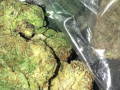 exotic-top-quality-medical-marijuana-at-low-prices-small-2