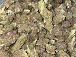 Breaking News Top quality buds available at discount ticket.