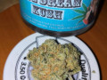 420-medicinal-cannabis-blueberry-kush-small-0