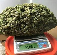 all-super-weeds-strains-available-here-big-0