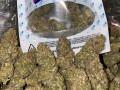 available-top-shelf-buds-grade-aaa-small-0