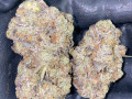 top-grade-weed-and-psychedelics-small-1