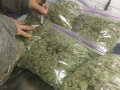 buy-medical-marijuana-online-small-0