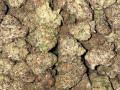 top-quality-buds-and-other-stuff-small-3