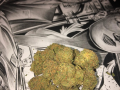 medical-marijuana-indoor-and-outdoorlight-dept-vapes-small-4