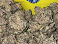 top-grade-weed-and-psychedelics-small-0