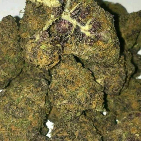 top-shelf-medical-bud-for-interested-persons-only-big-2