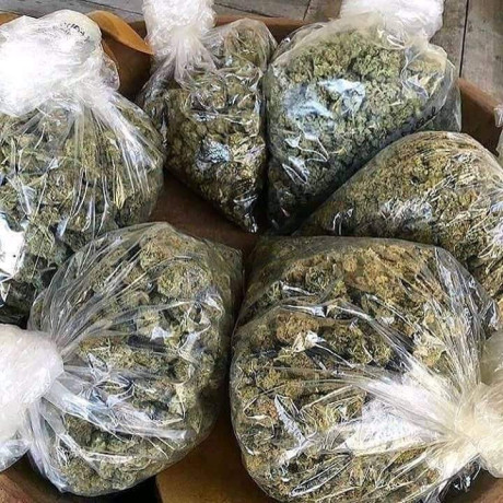 top-shelf-medical-bud-for-interested-persons-only-big-1