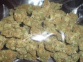 top-shelf-medical-marijuana-available-small-0