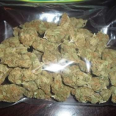 top-shelf-medical-marijuana-available-big-0