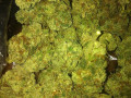 top-shelf-medical-bud-for-interested-persons-available-in-our-shops-small-0