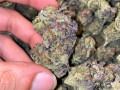 top-quality-medical-marijuana-and-recreational-at-discount-prices-small-2