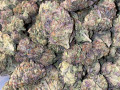 top-quality-medical-marijuana-and-recreational-at-discount-prices-small-1