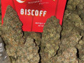 top-quality-medical-marijuana-and-recreational-at-discount-prices-small-0