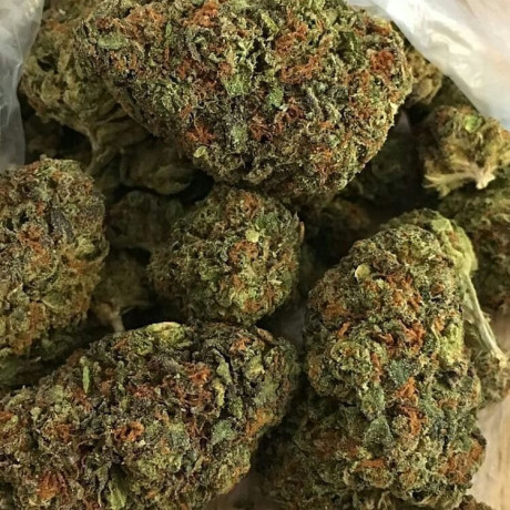 medical-cannabis-for-sale-interested-people-only-big-0