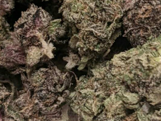 Top shelf medical cannabis available for interested persons
