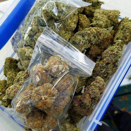 top-shelf-medical-marijuana-available-for-interested-persons-only-big-0
