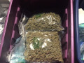 buy-top-shelf-medical-marijuana-online-small-0