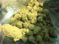 promo-promo-on-quality-strains-unit-online-small-0
