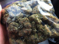 quality-strains-unit-avail-for-serious-buyers-only-small-0