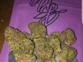 quality-strains-unit-avail-for-serious-buyers-only-small-1