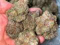 no-feeling-skeptical-anymore-order-great-quality-buds-online-small-0