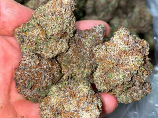 No feeling skeptical anymore order great quality buds online